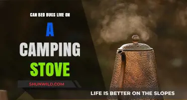 Can Bed Bugs Survive on Camping Stoves? Facts and Prevention Tips