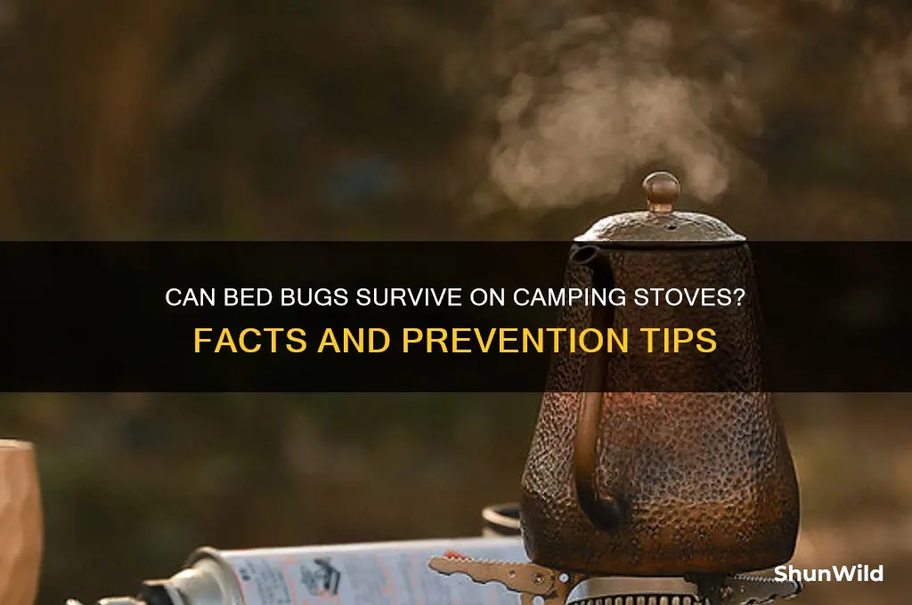 can bed bugs live on a camping stove
