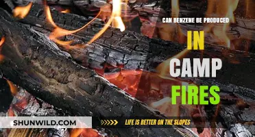 Exploring Benzene Production in Campfires: Fact or Fiction?