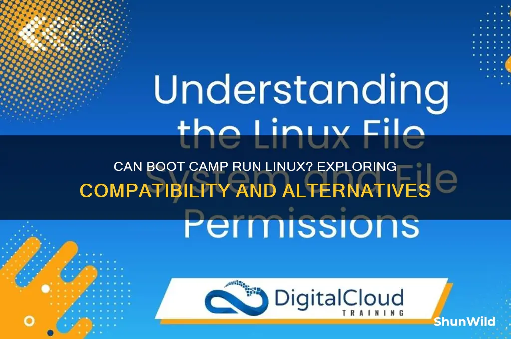 can boot camp run linux
