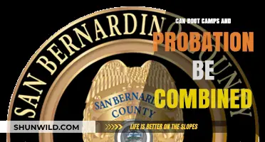 Combining Boot Camps and Probation: A Viable Rehabilitation Strategy?
