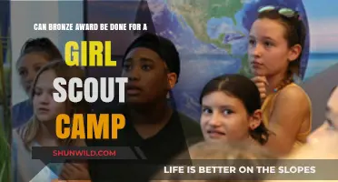 Girl Scout Camp Bronze Award: Achievable Project Ideas and Tips