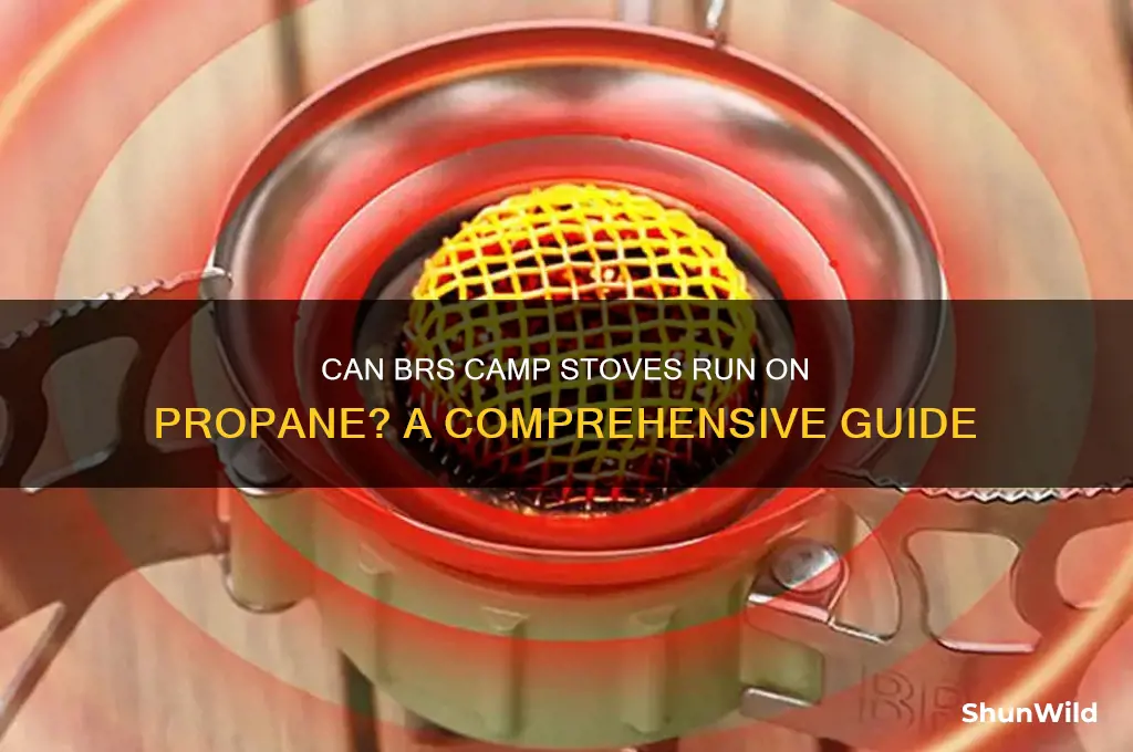 can brs camp stoves be use on propane