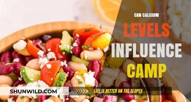 Calcium Levels and cAMP: Exploring the Intricate Cellular Connection
