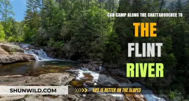 Exploring Georgia's Waterways: Camping from Chattahoochee to Flint River