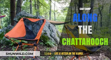 Camping Along the Chattahoochee: A Guide to Scenic Riverside Adventures