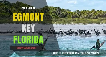 Exploring Egmont Key: Camping Tips and Guide for Florida Visitors