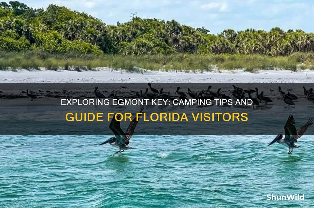 can camp at egmont key florida
