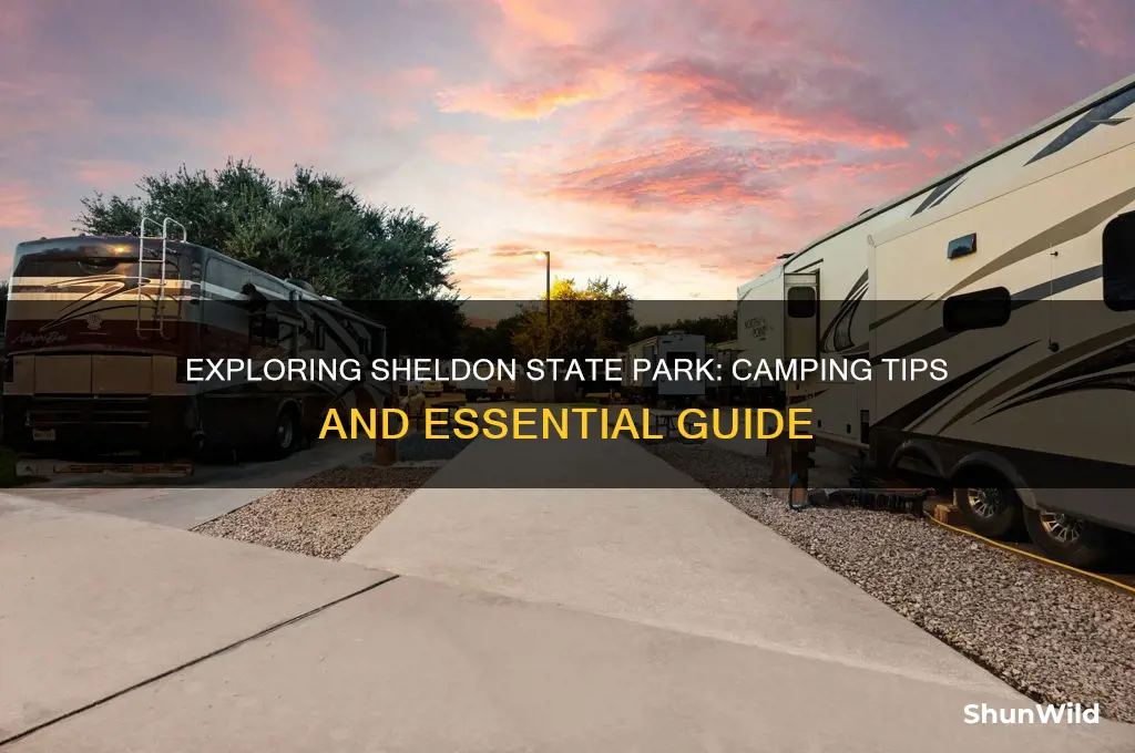 can camp at sheldon state park