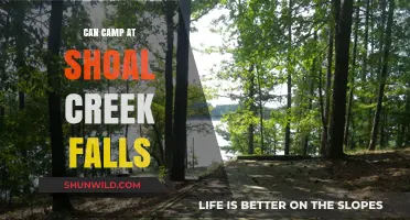 Camping at Shoal Creek Falls: A Guide to Adventure and Serenity