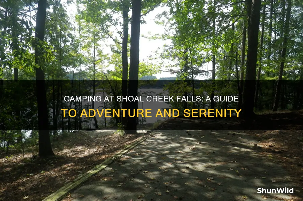 can camp at shoal creek falls