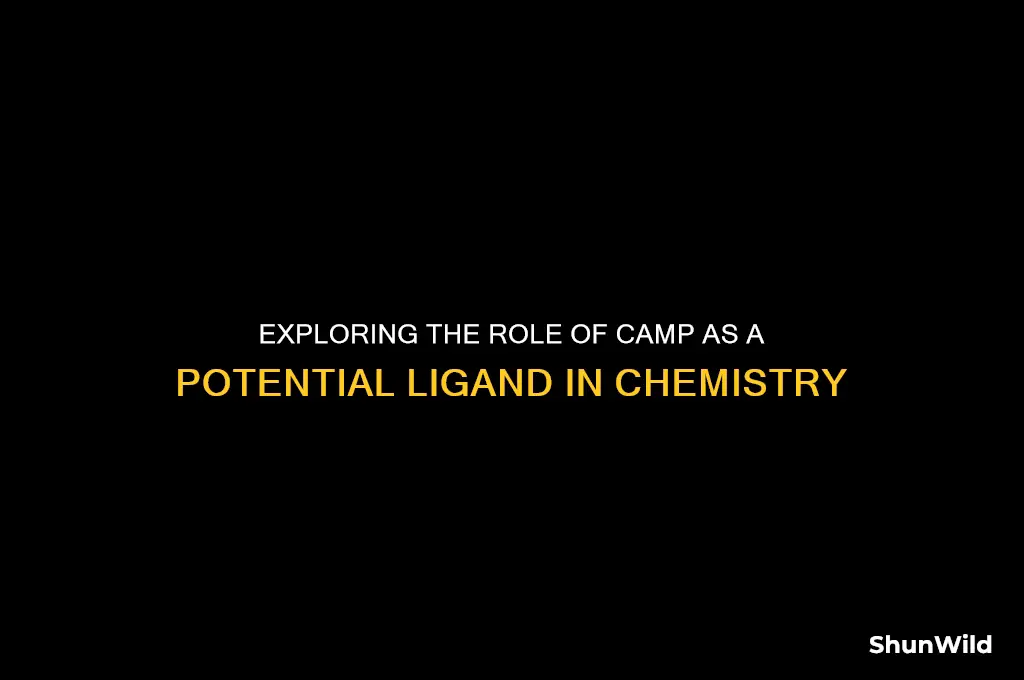 can camp be a ligand