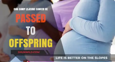 Can Camp Lejeune Cancer Risk Be Inherited by Offspring?