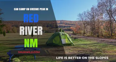 Camping on Greenie Peak: A Red River, NM Adventure Guide