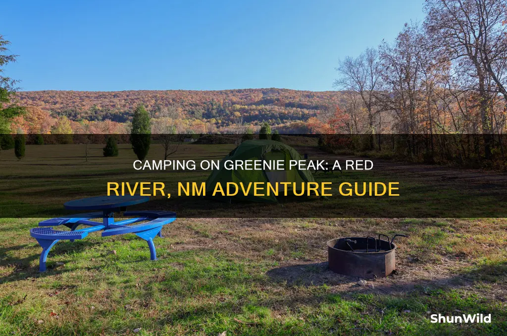 can camp on greenie peak in red river nm