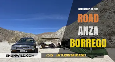 Can You Camp on the Road in Anza-Borrego? A Guide