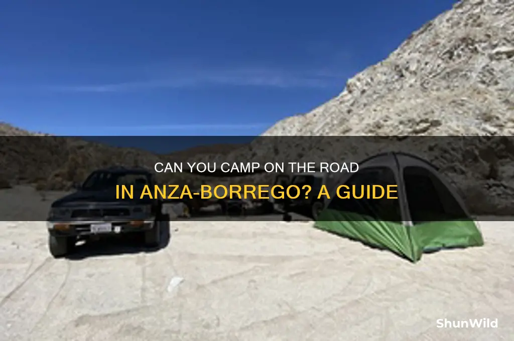 can camp on the road anza borrego