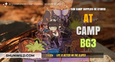 Storing Camp Supplies at Camp BG3: Tips and Best Practices