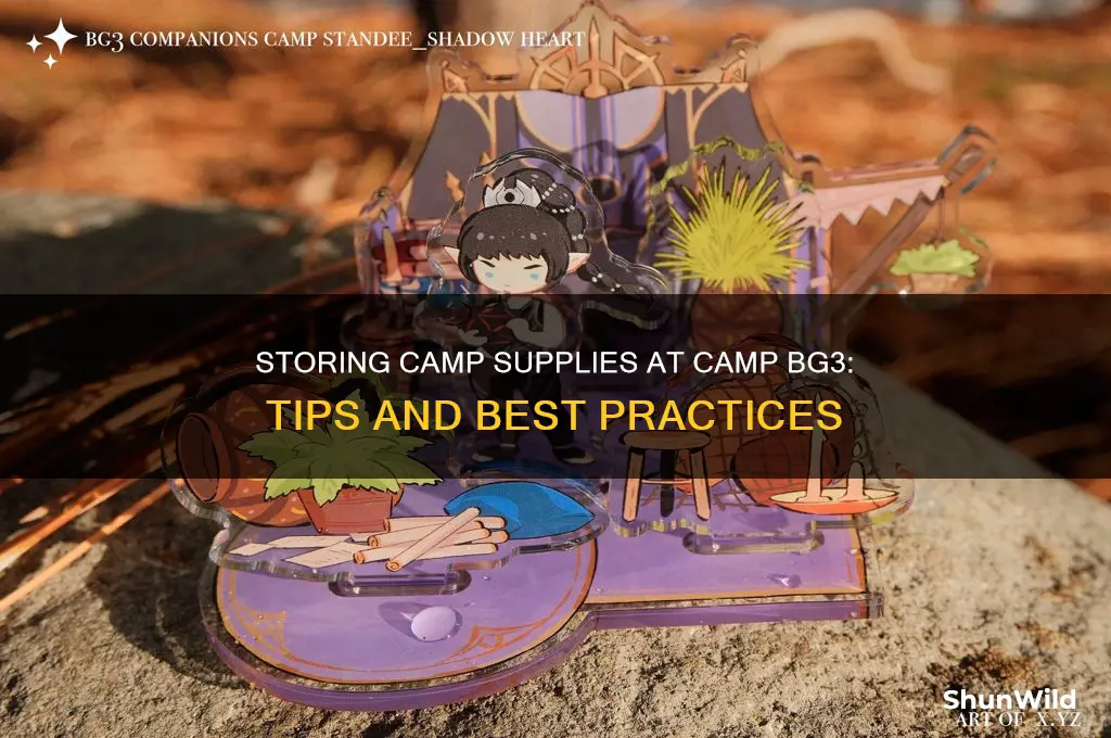 can camp supplies be stored at camp bg3