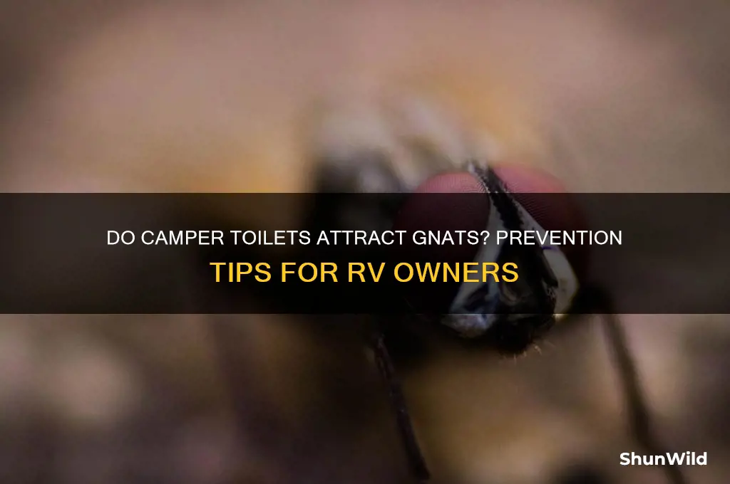can camper toilets let in gnats