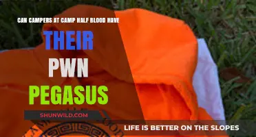 Can Camp Half-Blood Campers Own Pegasi? Exploring Mythical Possibilities