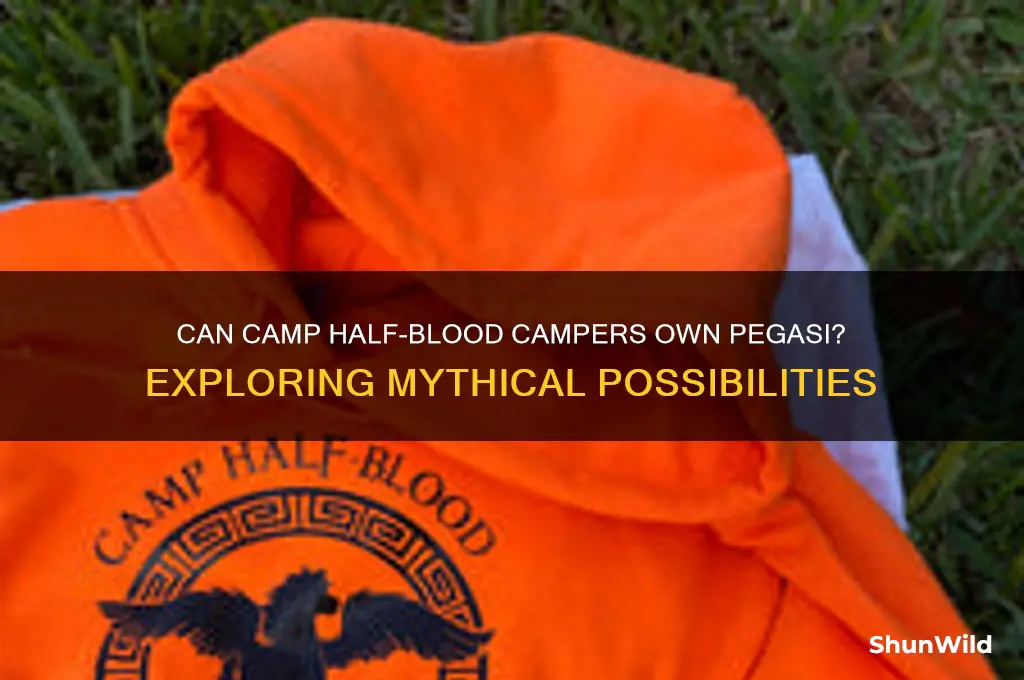 can campers at camp half blood have their pwn pegasus