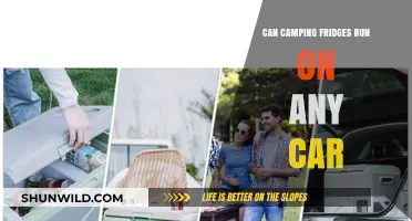 Can Camping Fridges Run on Any Car? A Comprehensive Guide