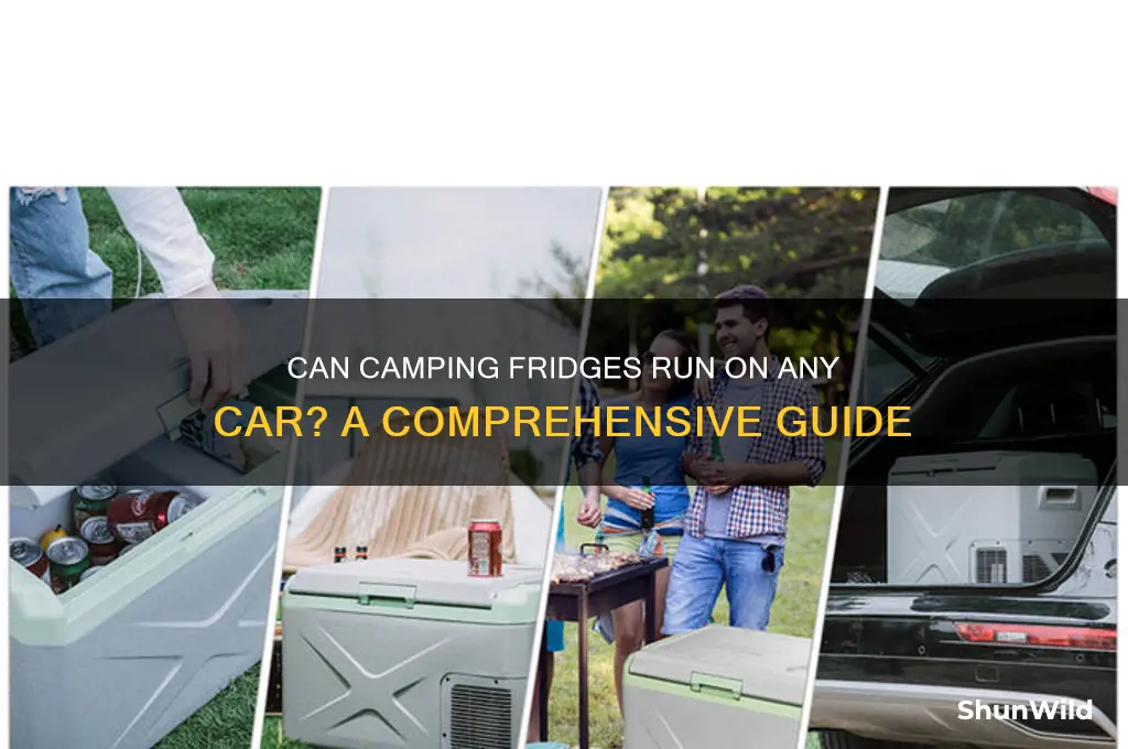 can camping fridges run on any car