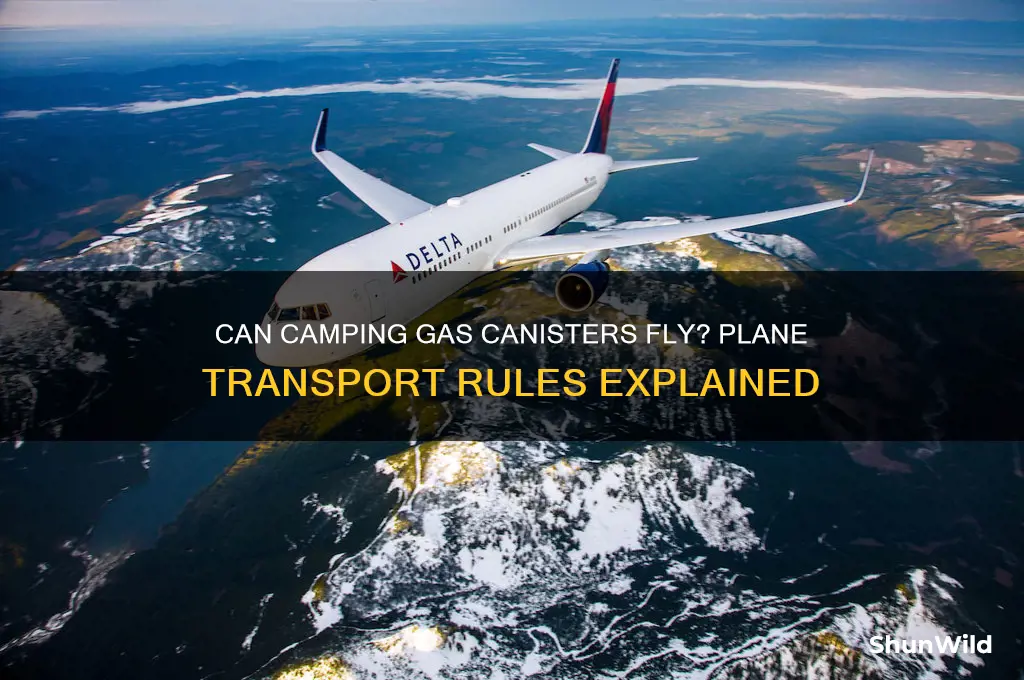 can camping gas canisters be transported on planes