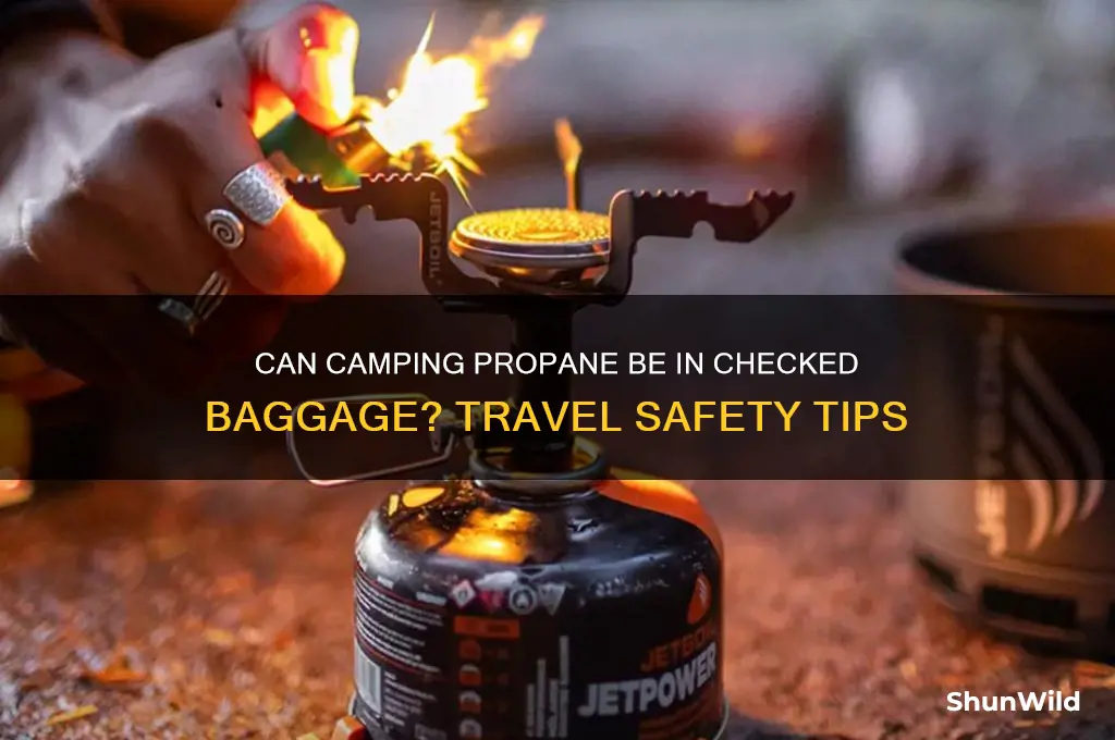 can camping propane be in checked baggage