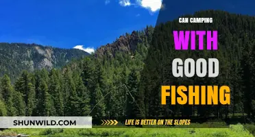 Camping with Great Fishing: Top Spots for Outdoor Enthusiasts