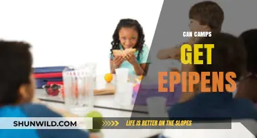 Can Summer Camps Stock Epipens for Allergic Emergencies?