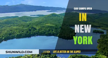 Can Summer Camps Safely Reopen in New York This Year?