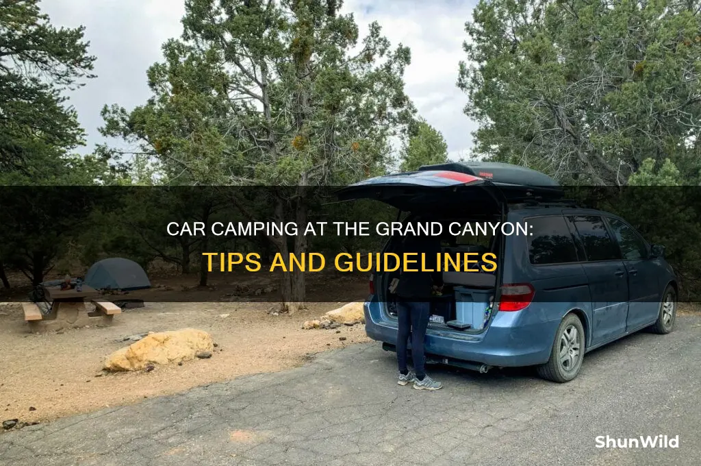 can car camp grand canyon national park