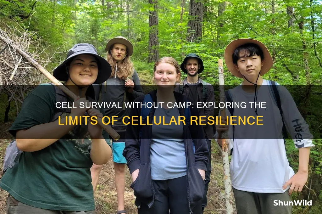 can cells survive without camp