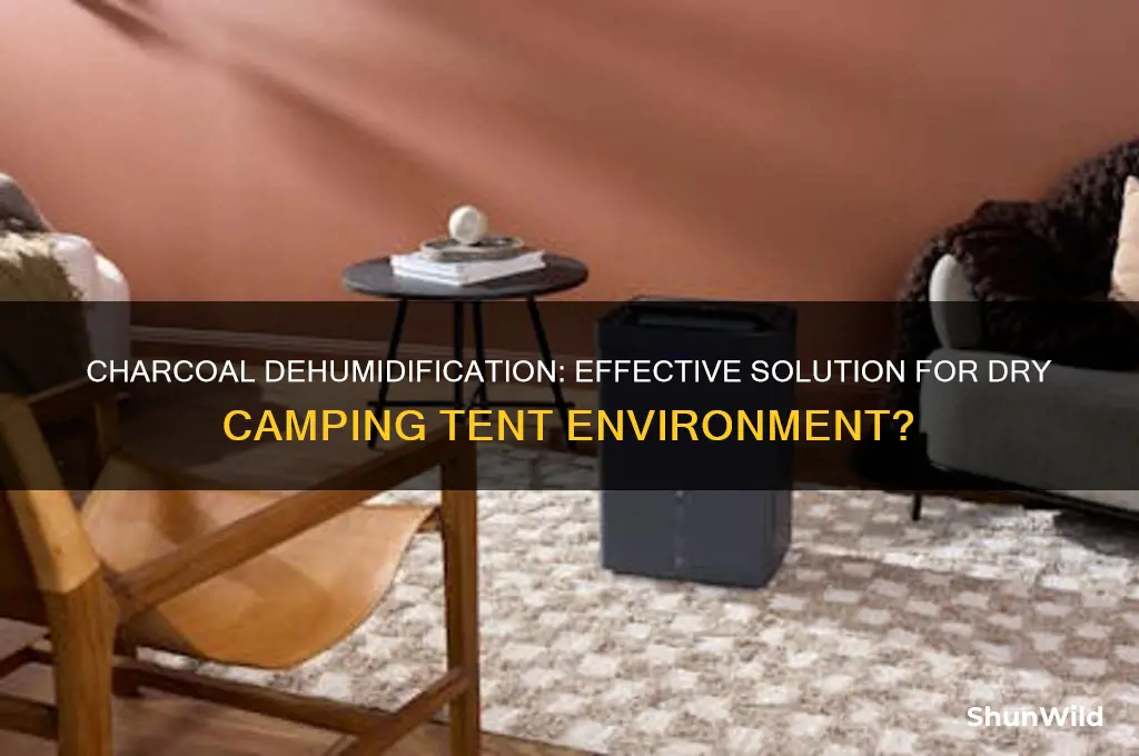 can charcoal dehumidify a camping tent