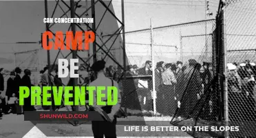 Preventing Atrocities: Strategies to Avert Future Concentration Camps