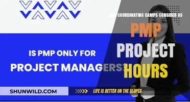 Coordinating Camps: Qualifying as PMP Project Hours Explained