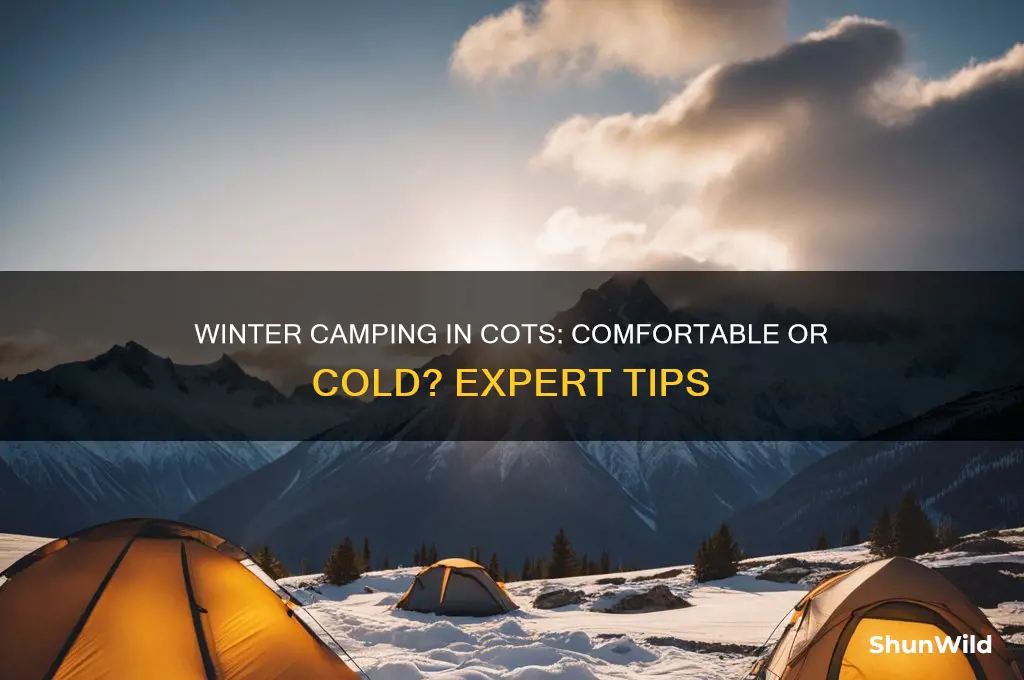 can cots be used for winter camping