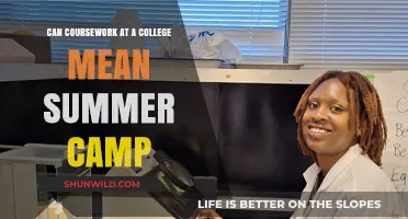 Summer Camp or College Coursework: Blurring the Lines of Learning