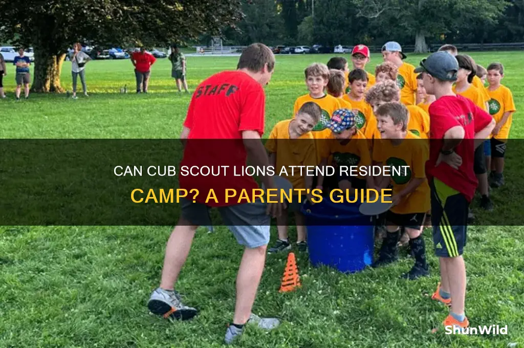 can cub scout lions go to resident camp