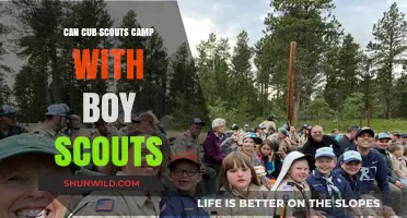 Cub Scouts and Boy Scouts Camping Together: Rules and Benefits
