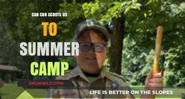 Can Cub Scouts Attend Summer Camp? A Parent's Guide