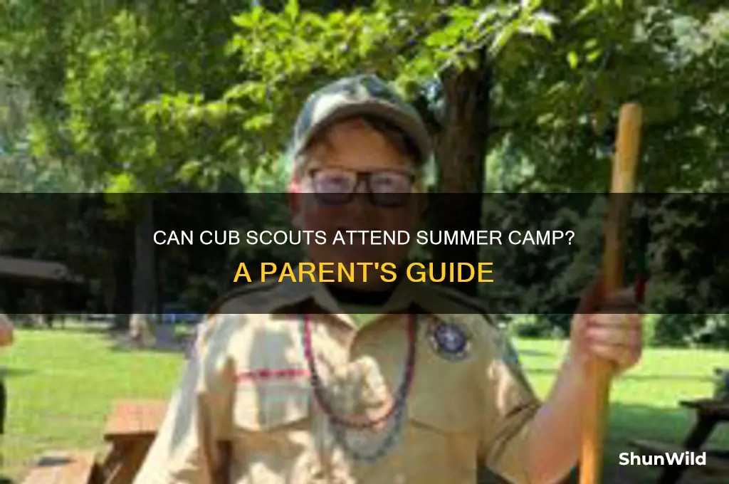 can cub scouts go to summer camp