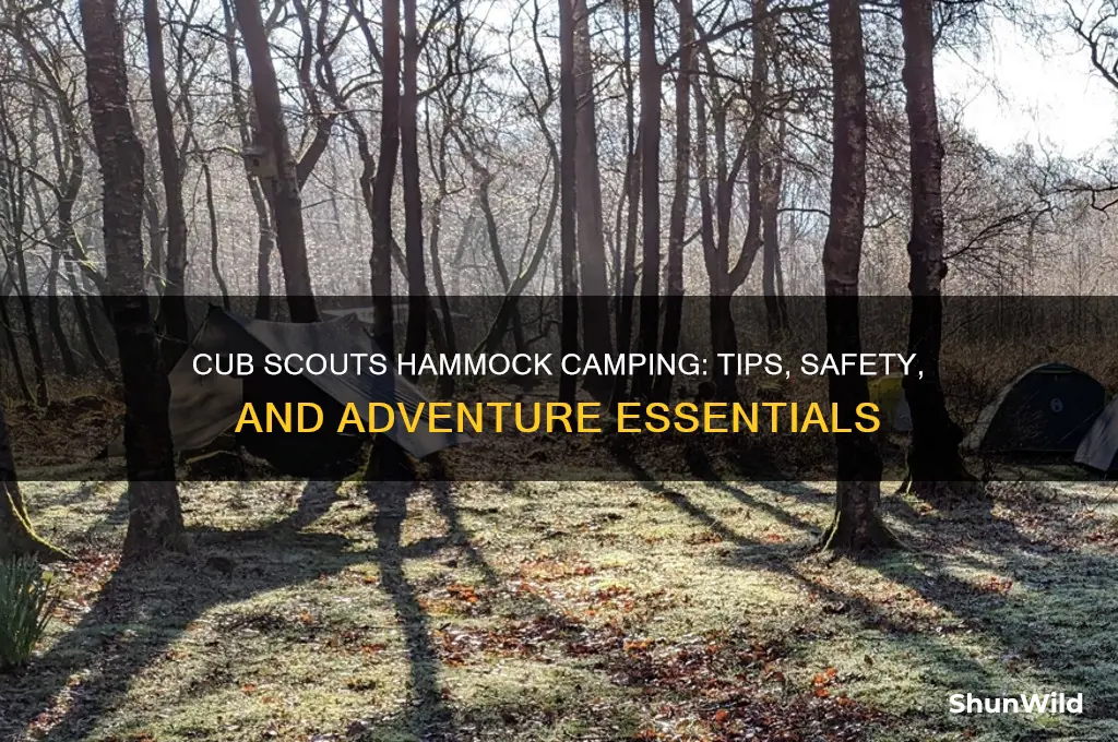 can cub scouts hammock camping