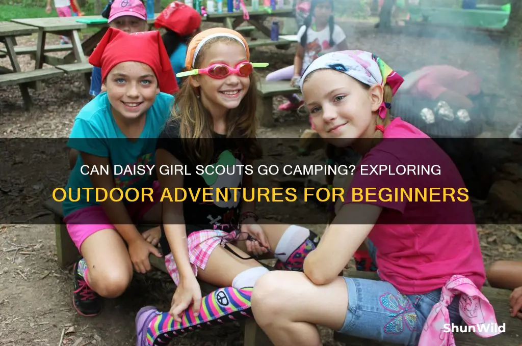 can daisy girl scouts go camping