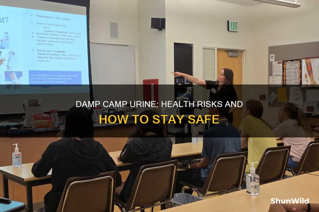 can damp camp urine make you sick