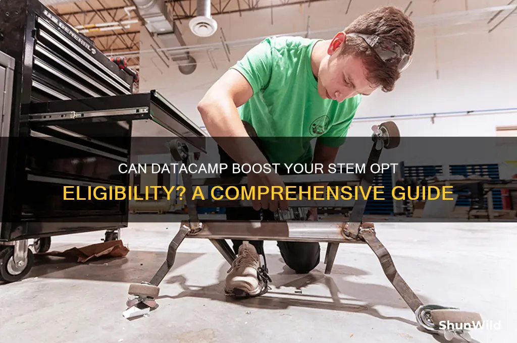 can data camp make you stem opt