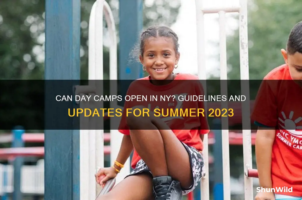 can day camps open in ny