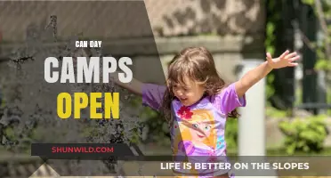 Can Day Camps Open Safely This Summer? Guidelines and Considerations